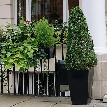 The Premier Notting Hill-2